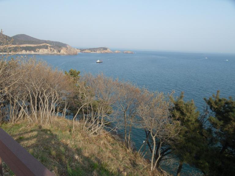 SDC11995.JPG