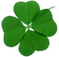 green_2.jpg