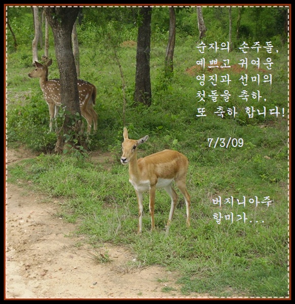 a-IMGP0074.JPG