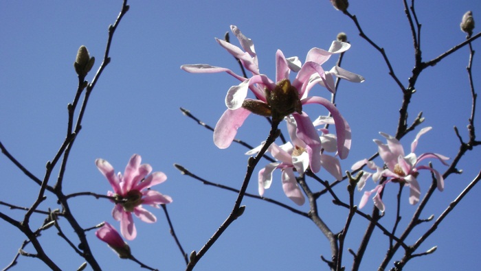 d-DSC02884.JPG