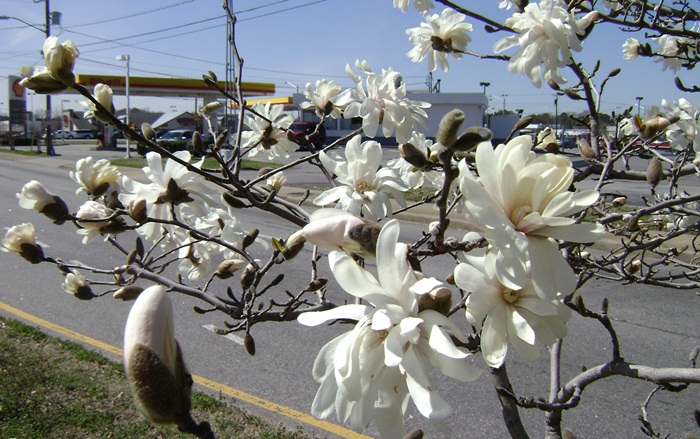 d-DSC02890.JPG