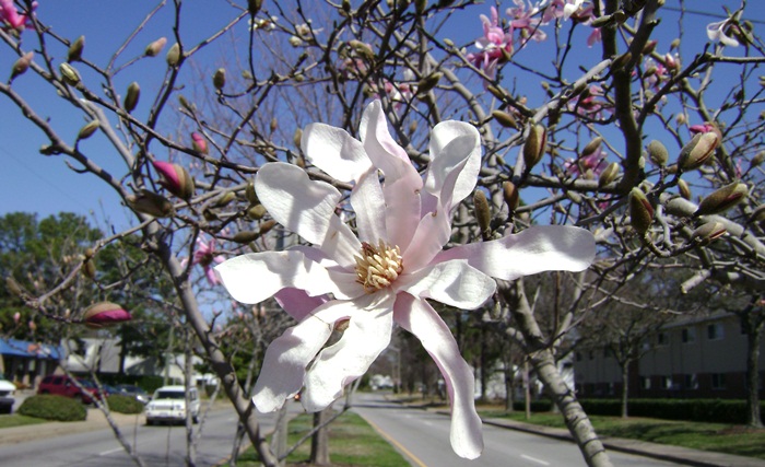 d-DSC02900.JPG