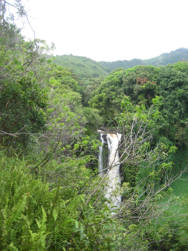 Hawaii 333.JPG