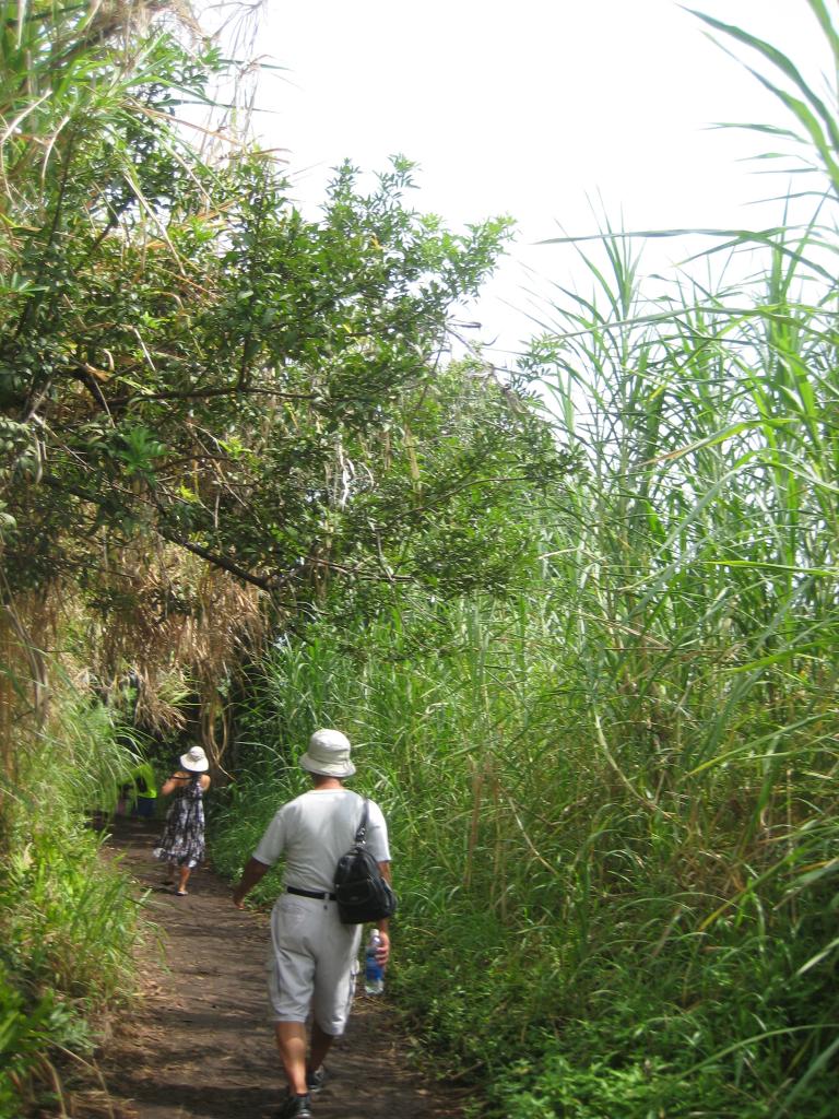 Hawaii 338.JPG