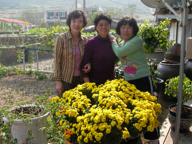 SANY0345.JPG SANY0345.JPG