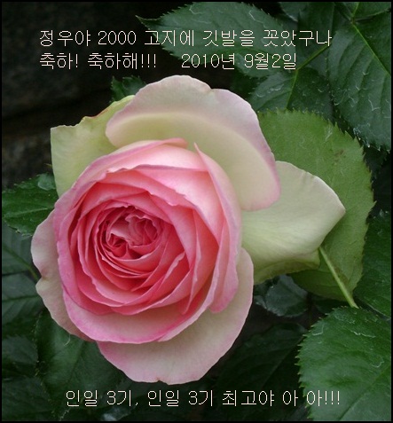 aa-DSC04332.JPG