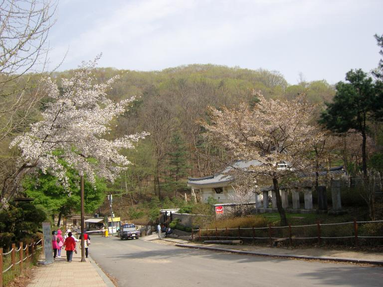 SNC11821.JPG
