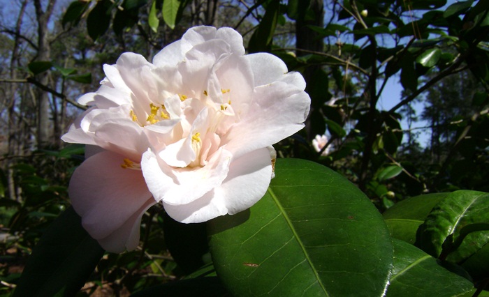 d-DSC02853.JPG