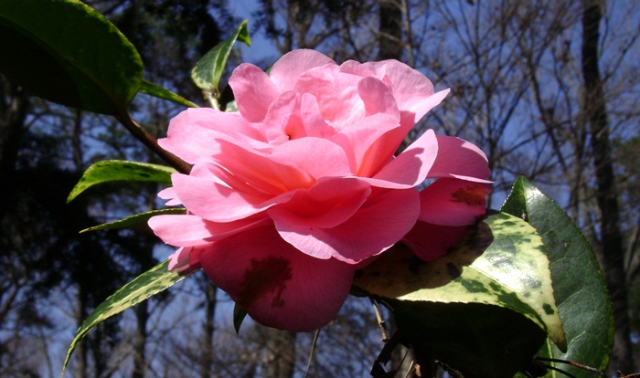 d-DSC02857.JPG