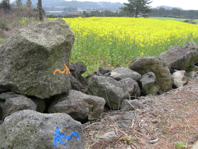 jeju 040.jpg