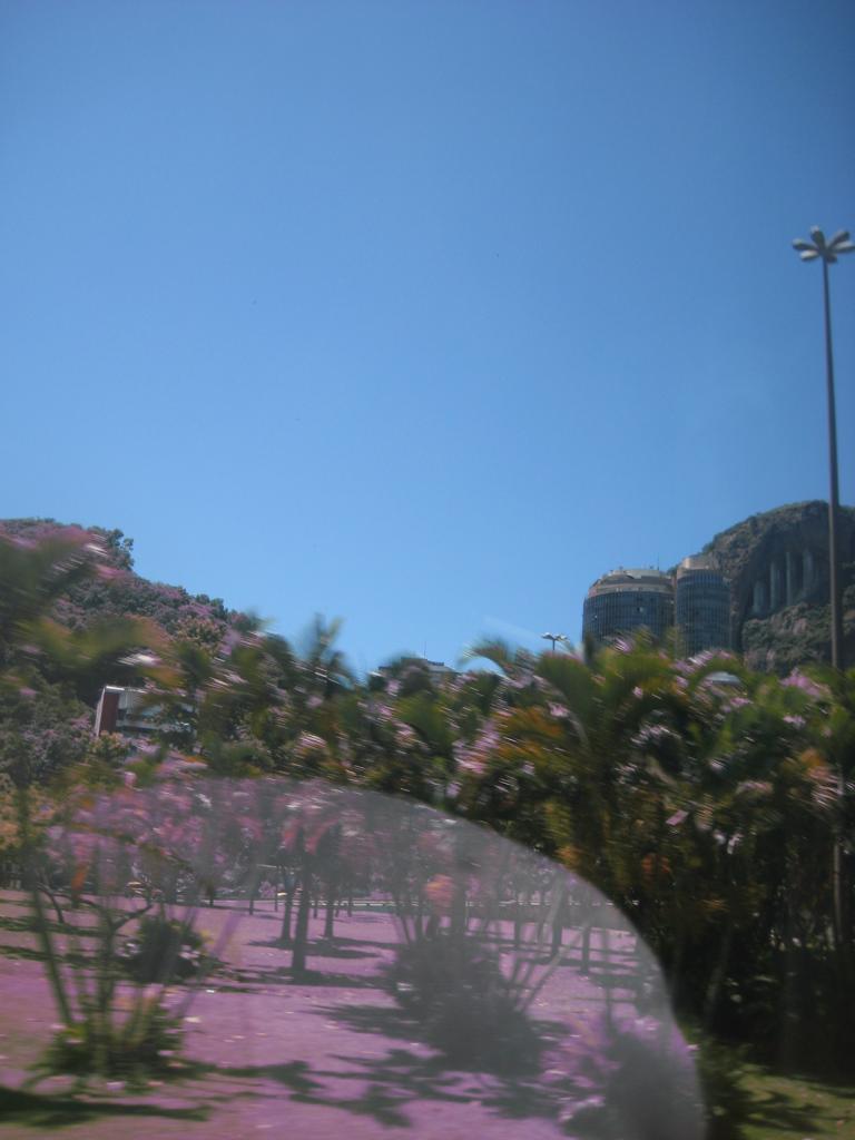 South America Brazil 281.JPG
