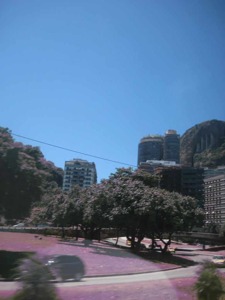 South America Brazil 282.JPG