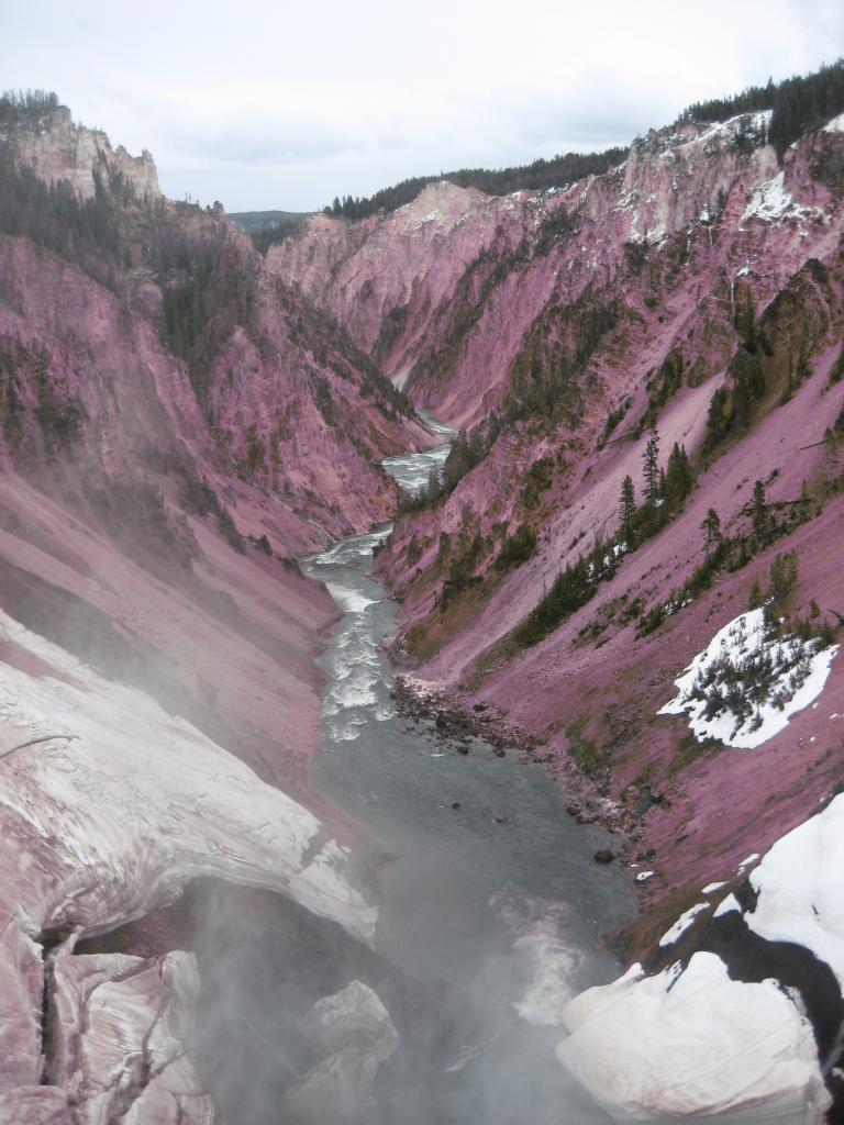 Yellowstone 533.JPG