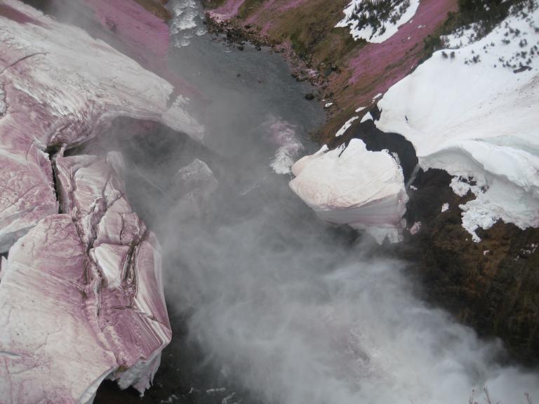Yellowstone 534.JPG