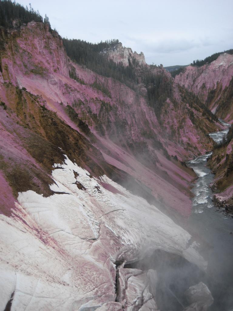 Yellowstone 535.JPG