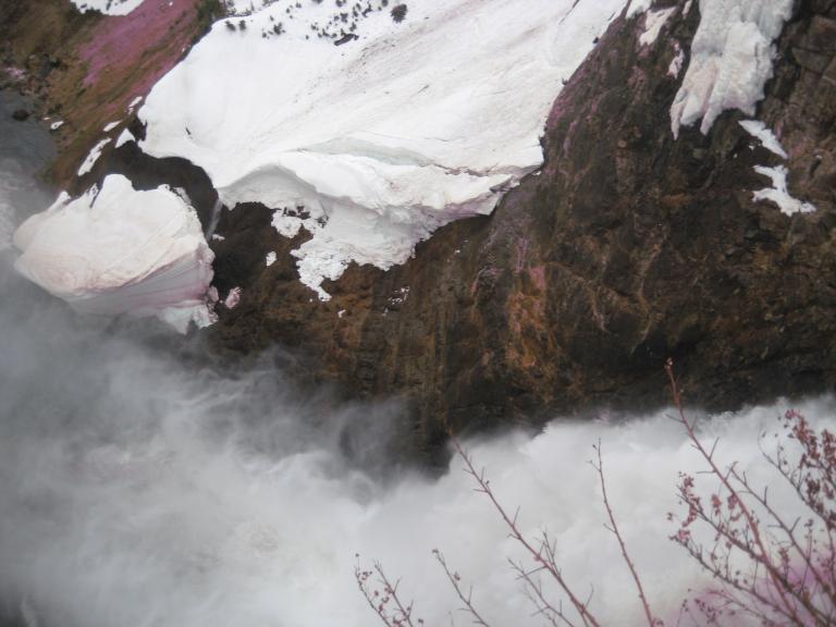 Yellowstone 539.JPG