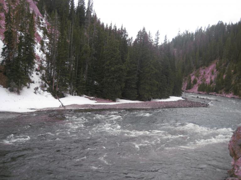Yellowstone 544.JPG