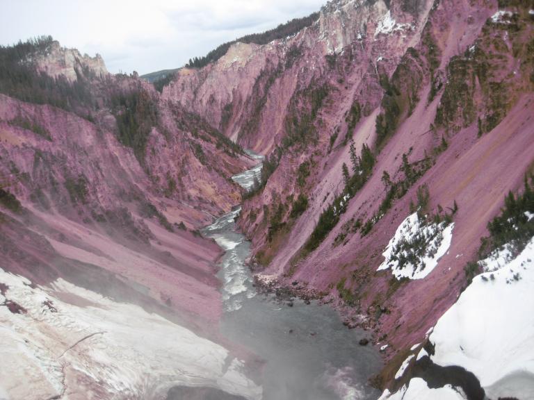 Yellowstone 548.JPG