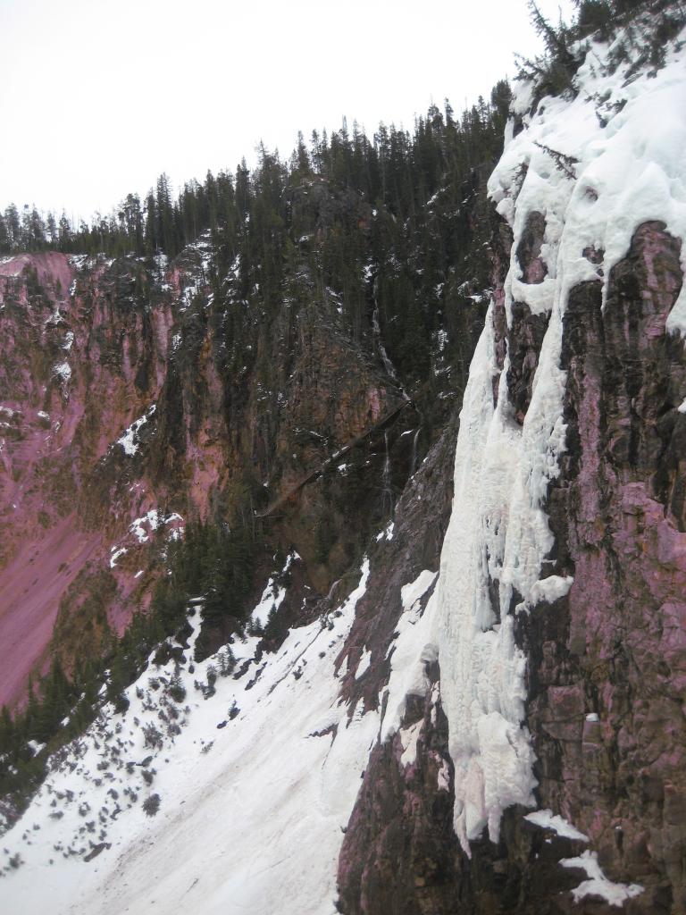 Yellowstone 549.JPG