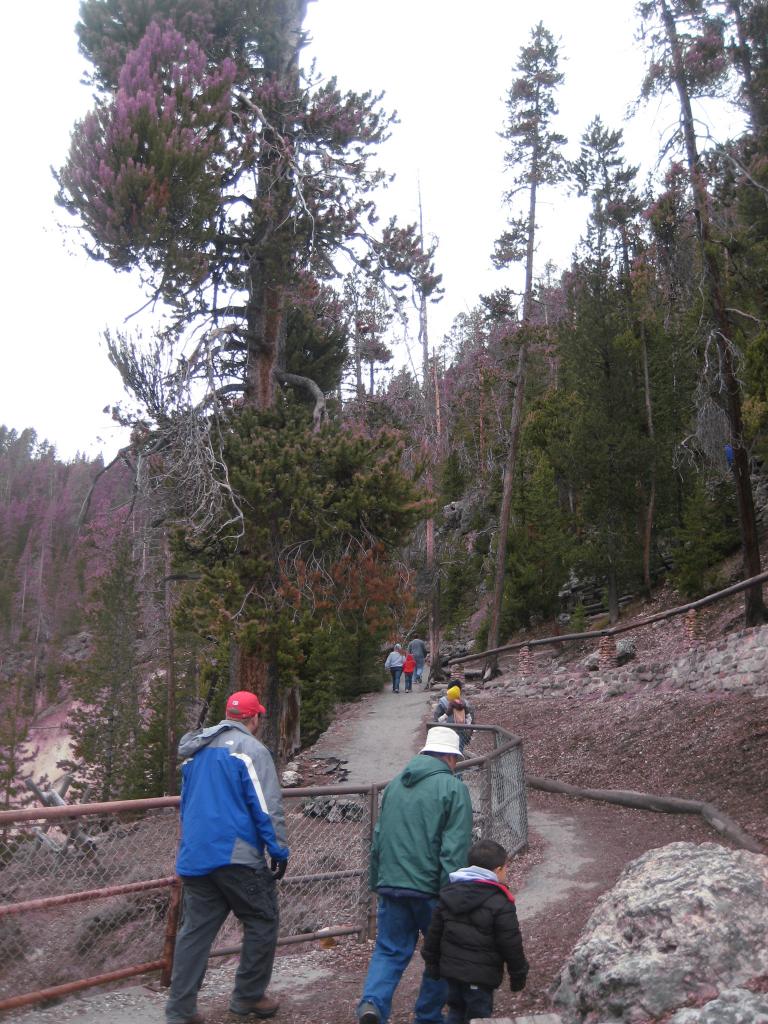 Yellowstone 550.JPG