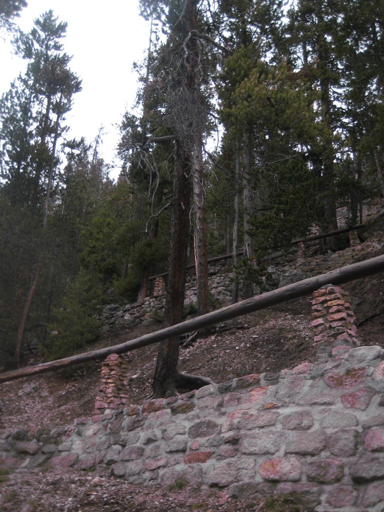 Yellowstone 551.JPG