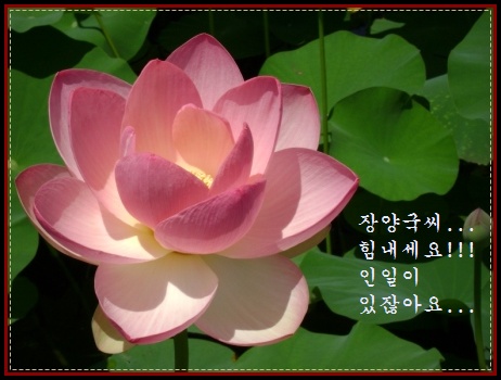 a-c-DSC00739.JPG