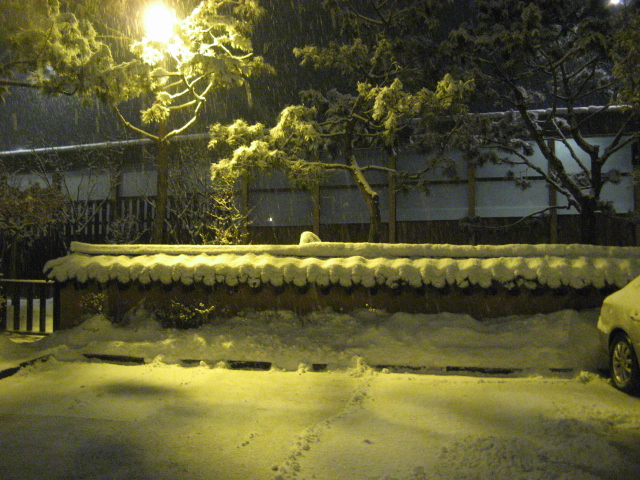 Bundang 134.jpg Bundang 134.jpg