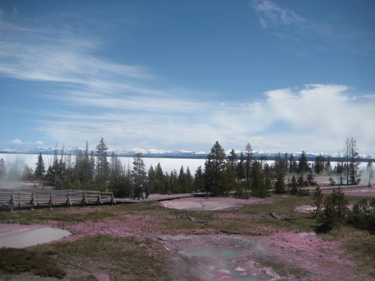 Yellowstone 371.JPG