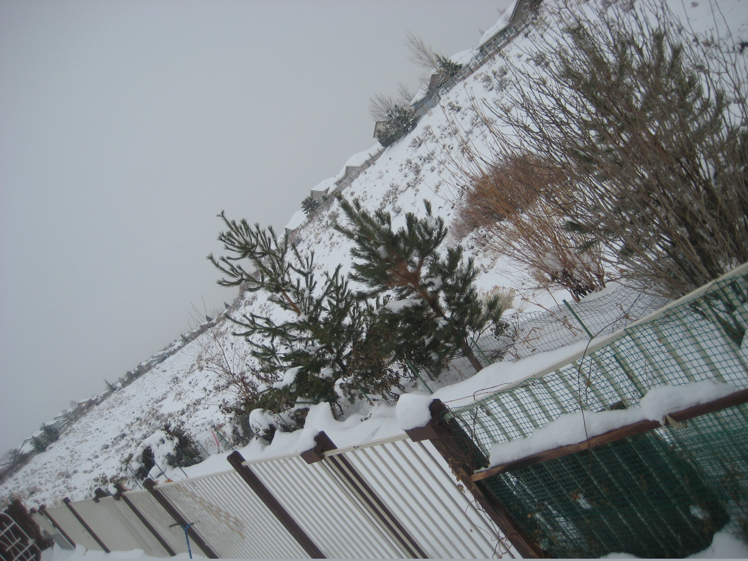 SNOW RKIDING 006.JPG