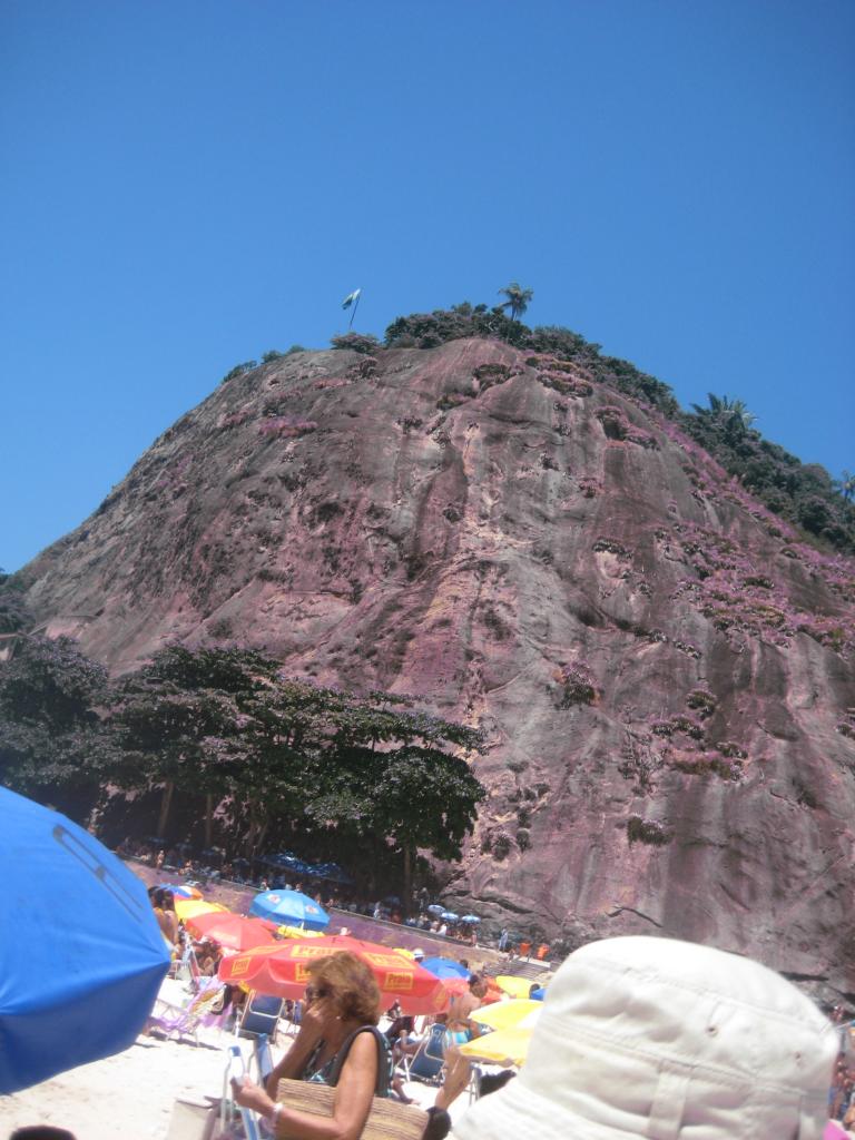 South America Brazil 302.JPG