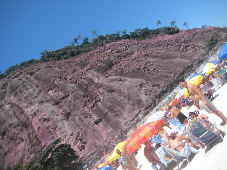 South America Brazil 303.JPG