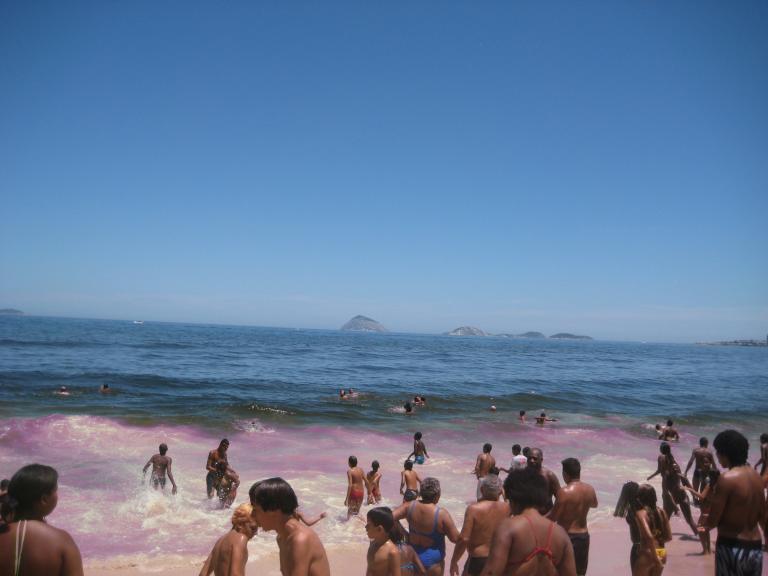 South America Brazil 306.JPG