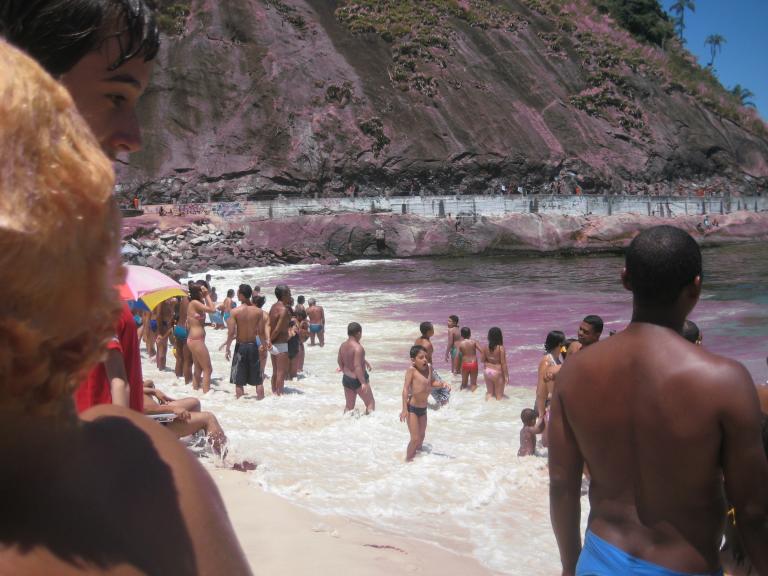 South America Brazil 307.JPG