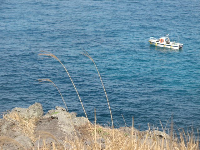 jeju 313.jpg