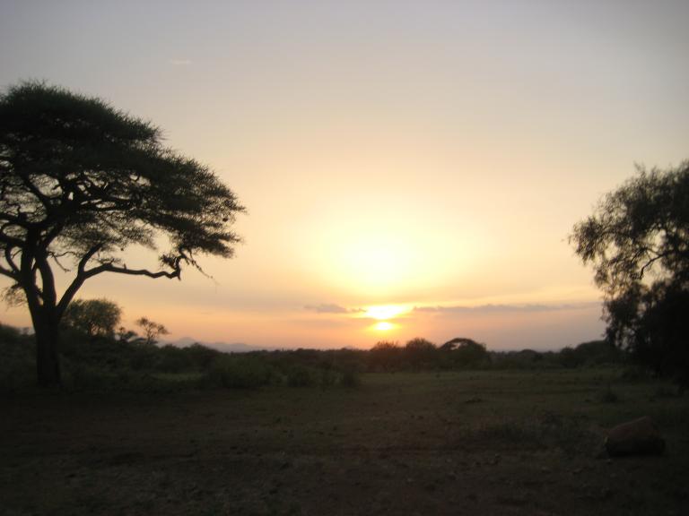 Africa 1 336.JPG