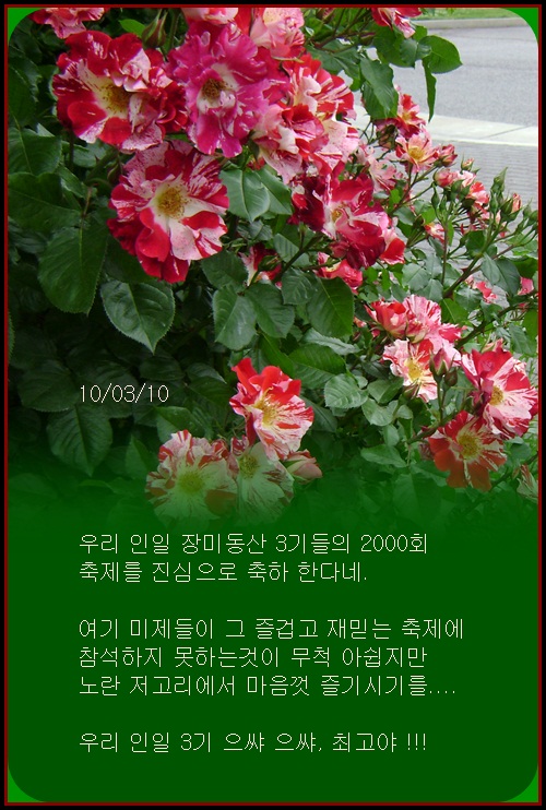 a-DSC04448.JPG