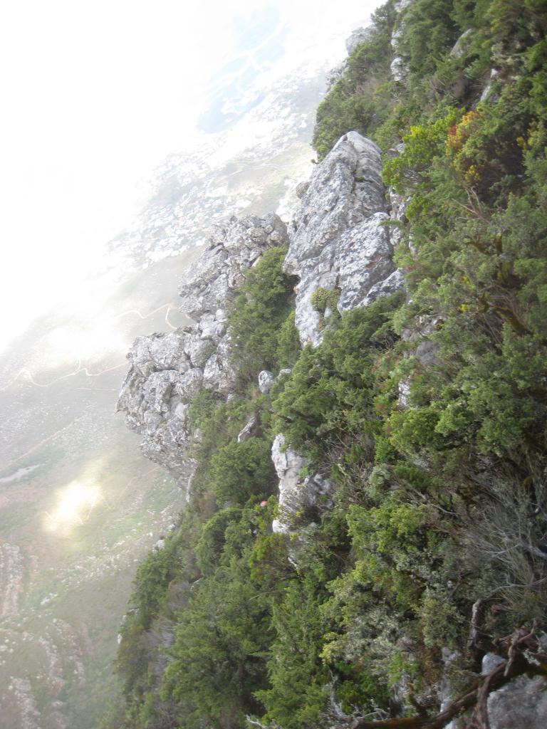 Africa 820.JPG