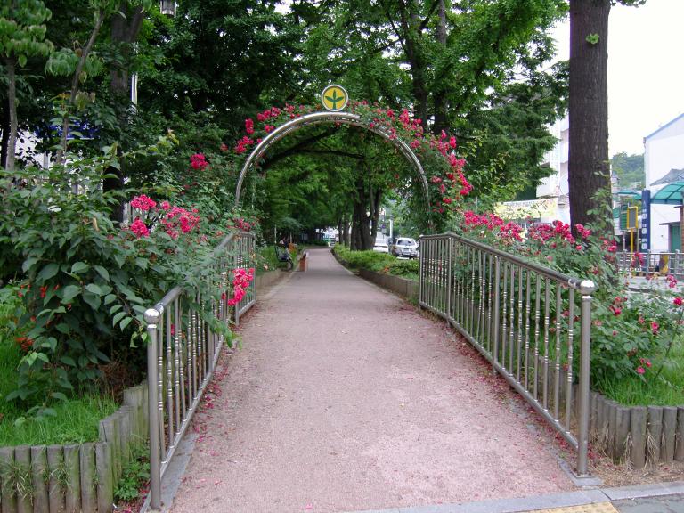 SNC11721.JPG