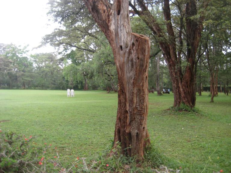 Africa 058.JPG