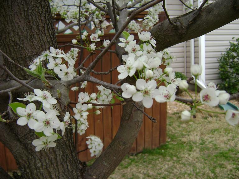 g-DSC03027.JPG