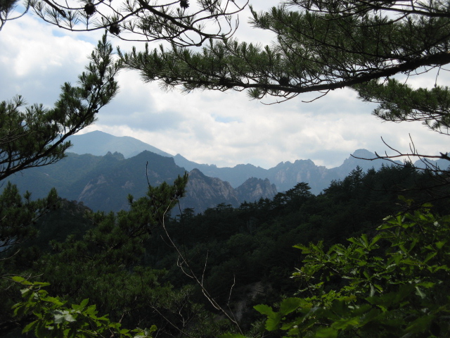 사진 009.jpg