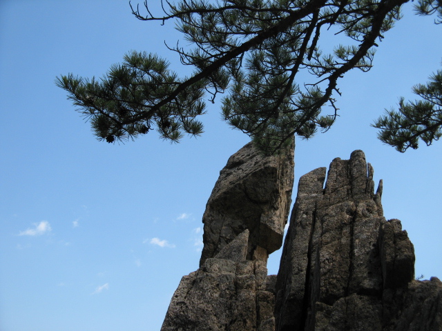 사진 014.jpg
