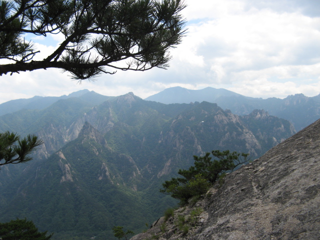 사진 025.jpg