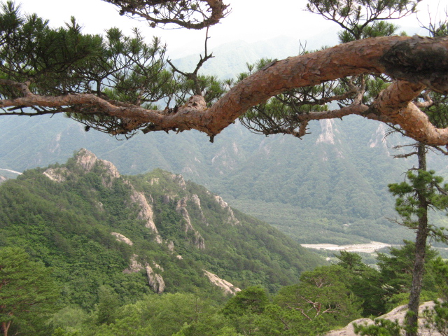 사진 033.jpg