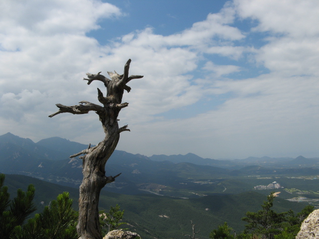 사진 059.jpg