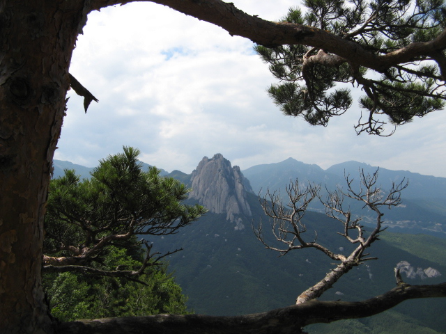 사진 061.jpg