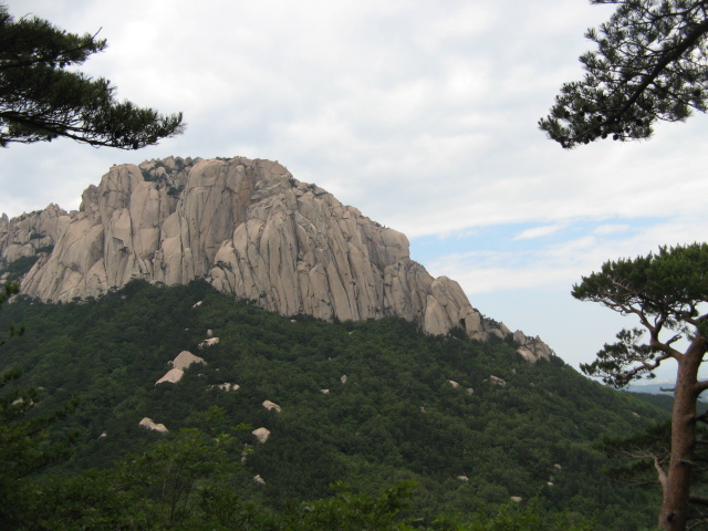사진 063.jpg