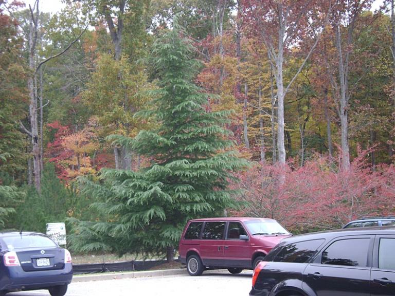 a-DSC05578.JPG