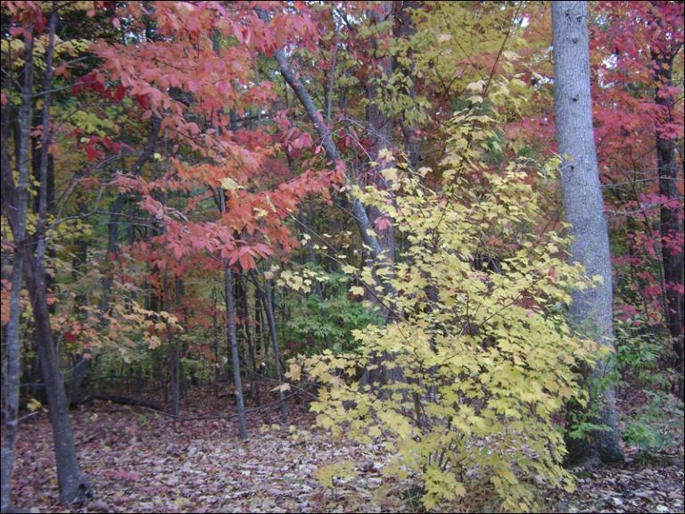 a-DSC05600.JPG