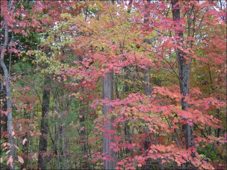a-DSC05616.JPG